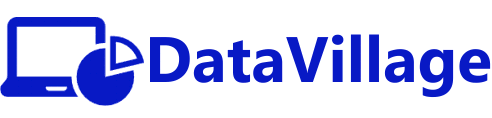 DataVillage Brand Logo